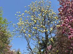 -木塔寺遗址生态公园