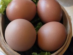 鸡蛋-四季捞