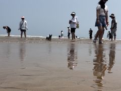 -日照海滨国家森林公园
