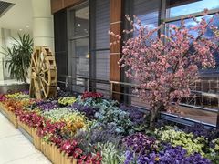 -丽江三义国际机场