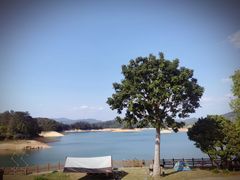 -广州市流溪河国家森林公园
