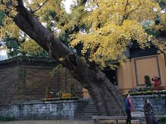 -无锡惠山寺