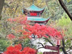 -岳麓山风景名胜区