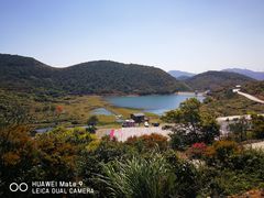 -大姆山草场
