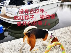 -浙江西子宾馆·牡丹厅