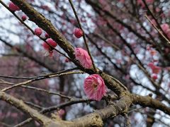 -洋湖国家湿地公园