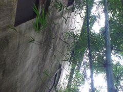 -开平碉楼文化旅游区马降龙景区