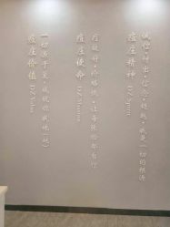 -痘庄科学祛痘国际连锁