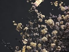 -堤角公园