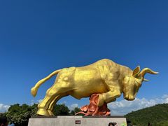 -三亚西岛海洋文化旅游区
