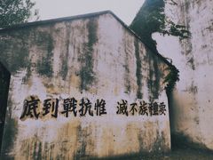 -上海影视乐园