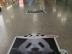 -星巴克(成都机场T2店)