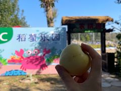 -河北村民俗体验园