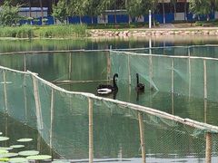 -吉林大学(前卫南区)