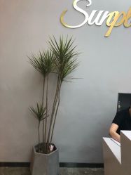 点击看大图 -GD GUIDE DIRECTION