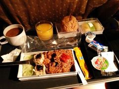 -新加坡航空公司(ION)