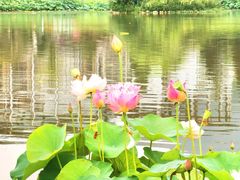 -浙江农林大学(东湖校区)