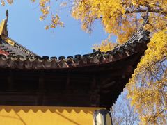 -苏州上方山国家森林公园