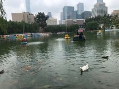 -团结湖公园