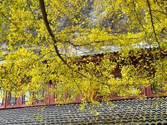 -大慈岩风景区