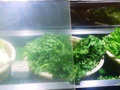 -三亚海韵度假酒店·渔人码头海鲜火锅BBQ自助餐厅·落日吧