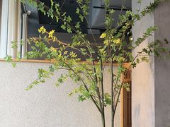 -蘸小院铁锅炖·蘸酱菜·东北菜(怀远门店)