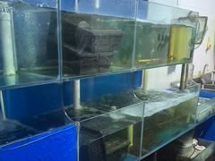 -有喜胶东小馆(超极合生汇太申祥和店)