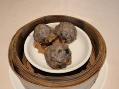 传统马蹄陈皮牛肉丸-正佳广场万豪酒店-粤菜餐厅·点心·海鲜·聚餐
