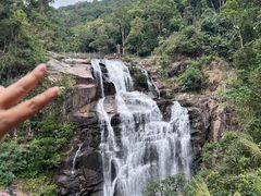 -海南热带雨林国家公园吊罗山景区