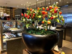 -君悦酒店·La Terrazza意合園·意式风味