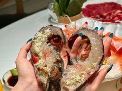 -京彩臻品火锅
