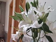 -山茶云南菜(中关村店)