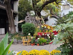 -南京市民俗博物馆(甘熙故居)