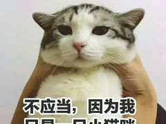-JUICE  TIMES(中茵海华店)