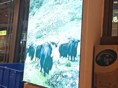 -乡土特色.冷锅鱼.牦牛肉汤锅