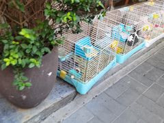 -后海16号·北京私房菜