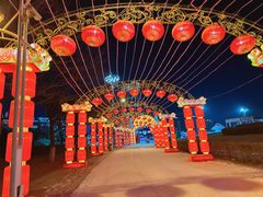 -沈阳奥体冰雪嘉年华