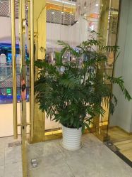 -CICI纤美·科技减肥美容