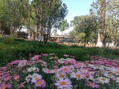 -段氏足疗养生馆(十年老店)