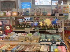 -猫的天空之城概念书店(印象城购物中心店)