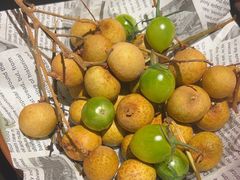 -季季山•云南野生菌火锅(上海首店)