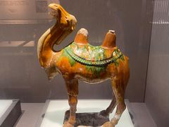 -景德镇中国陶瓷博物馆