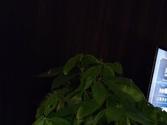 -泰之源足浴会所(玉环店)