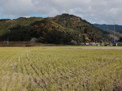 -岚山嵯峨野观光小火车