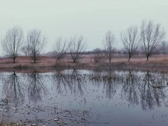 -绿堤公园