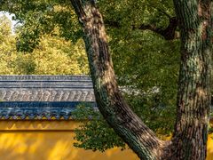 -西园戒幢律寺