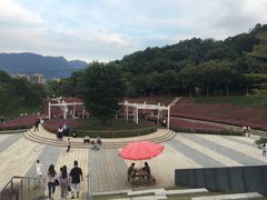 -牛岗山公园