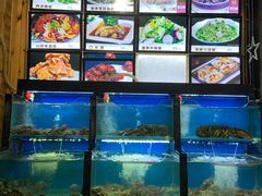 水产区-老东镇啤酒屋海鲜加工·蒸汽海鲜·海鲜烧烤(台东店)