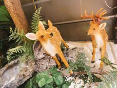 -肖记公安牛肉鱼杂馆· 省级非物质文化遗产(仁和路店)