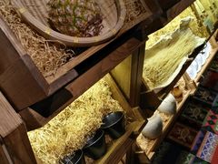 -云海肴·汽锅鸡·云南菜(天津国金汇店)